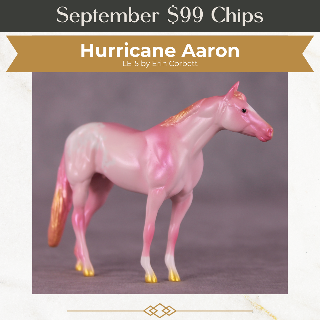 Hurricane Aaron LE-5 Chip Stock Horse by Erin Corbett September $99 Chips
