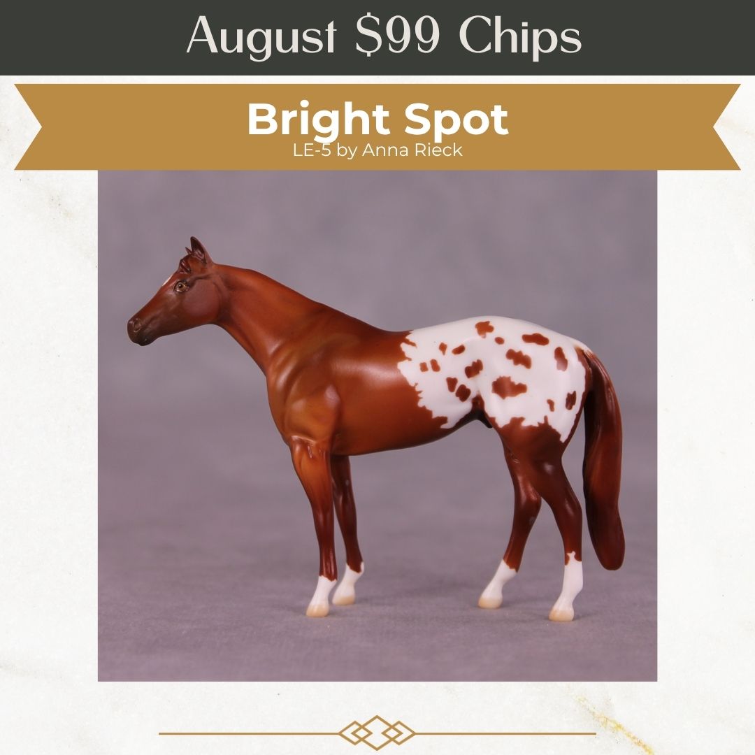 Bright Spot LE-5 by Anna Rieck August $99 Chips Sale