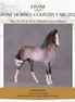 "Gwyndolin" LE-10 FCM Marwari Morgan Chip By Jess Hamill SHCF25 Run