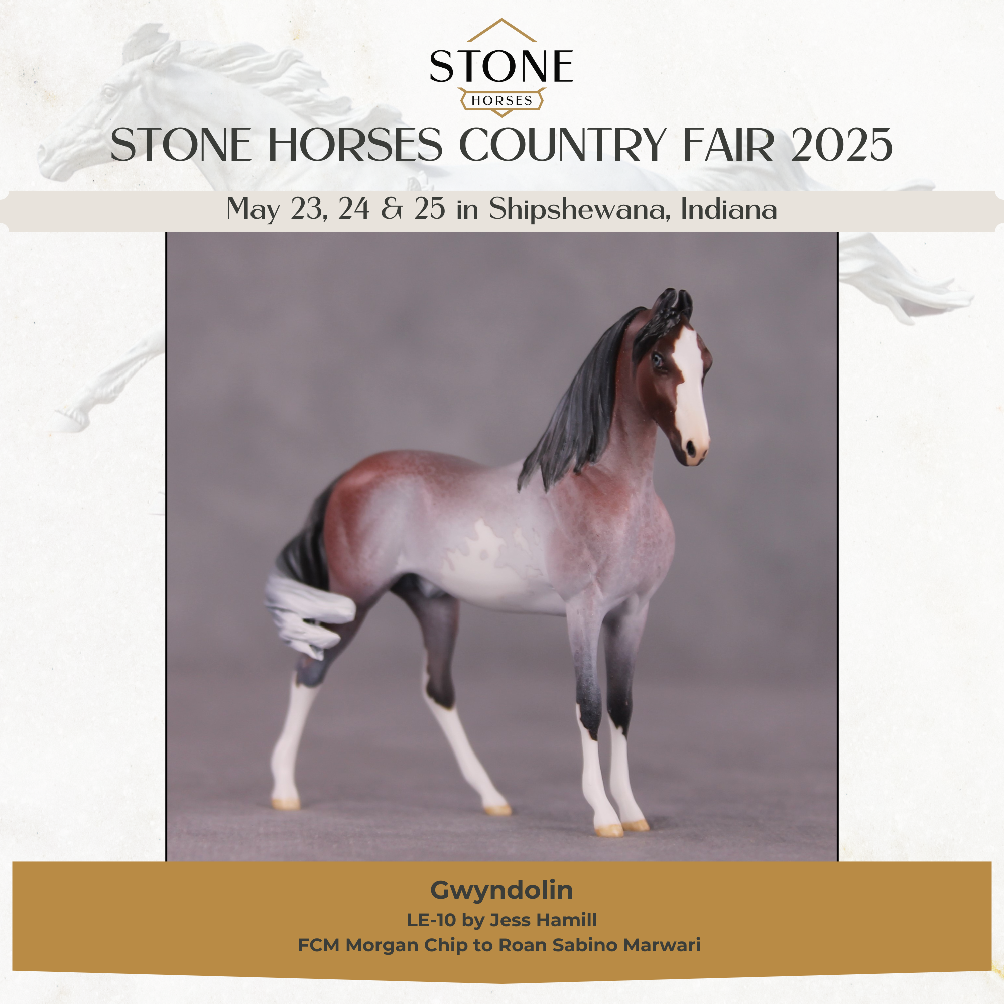 "Gwyndolin" LE-10 FCM Marwari Morgan Chip By Jess Hamill SHCF25 Run