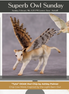 "Tyto" Secret Surprise Chip Drop: Superb Owl Sunday OOAK Deco Custom Cow Chip By Ashley Palmer