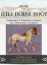 "Lanakila Three" LE-7 Pebbles Drafter Unicorn by Jess Hamill LHS25 Prize Model Run