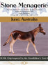 "Marlu" OOAK Mule Chip by Jess Hamill MS25