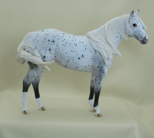 MAYBE I'M DREAMING - OOAK Leopard Appaloosa Wind Blown Mane Stock Horse Mare 3/15