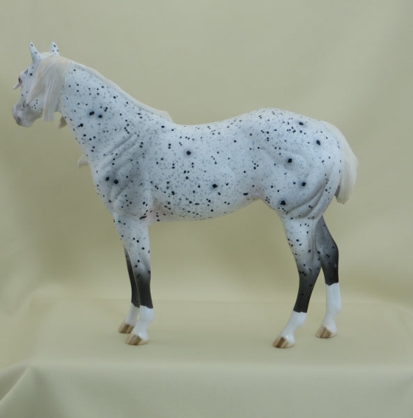 MAYBE I&#39;M DREAMING - OOAK Leopard Appaloosa Wind Blown Mane Stock Horse Mare 3/15