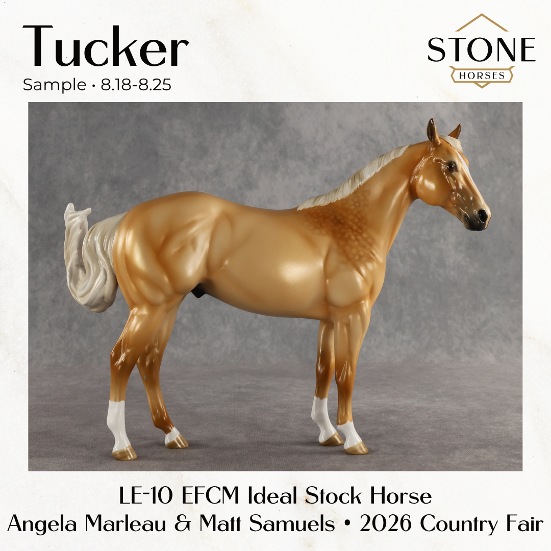 SAMPLE Tucker LE-10 EFCM Ideal Stock Horse by Angela Marleau &amp; Matt Samuels SS0826