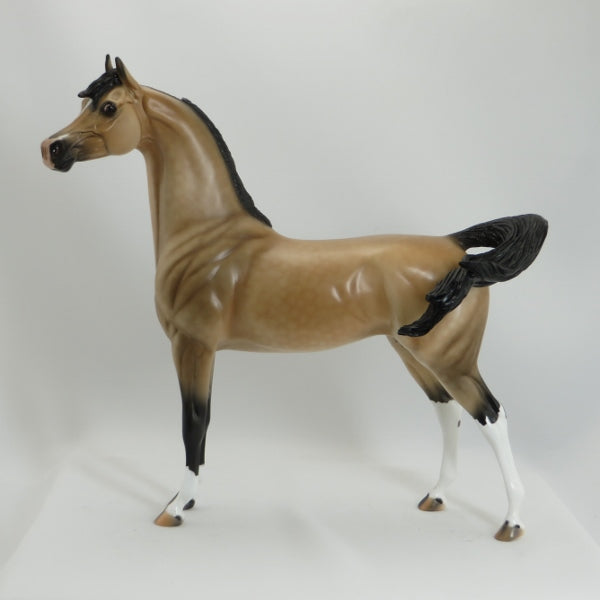 END OF DAY - OOAK Dapple Buckskin Mare Arabian Horse - 5/15