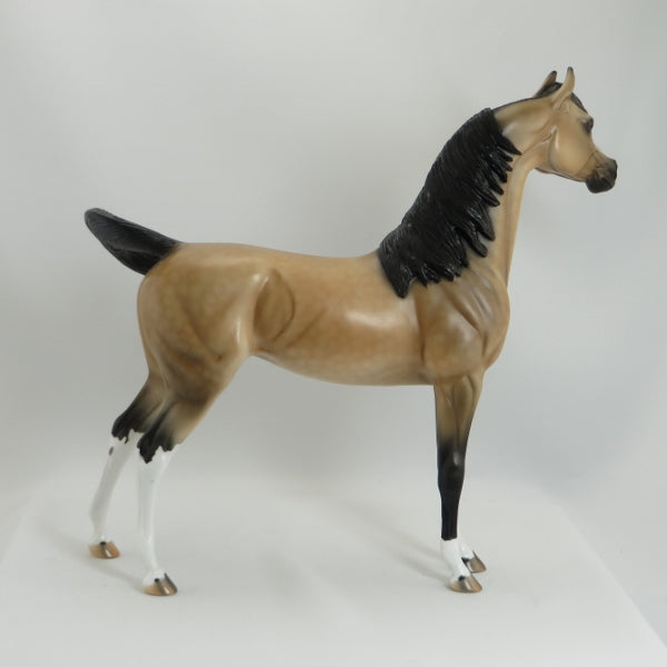END OF DAY - OOAK Dapple Buckskin Mare Arabian Horse - 5/15