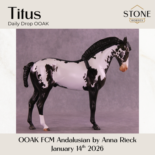 Titus OOAK FCM Andalusian by Anna Rieck DDOOAKs26