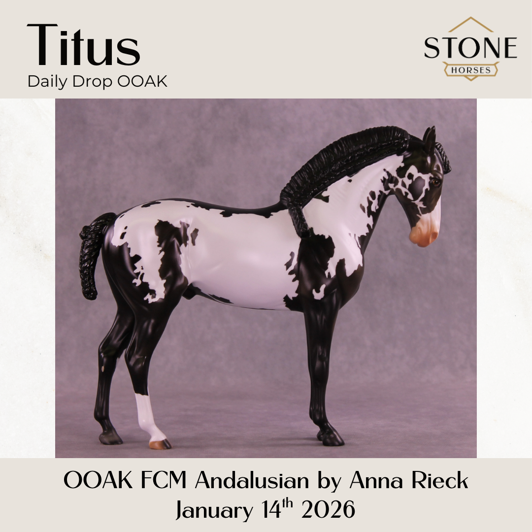 Titus OOAK FCM Andalusian by Anna Rieck DDOOAKs26