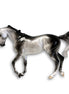 Aster SAMPLE Dappled Grey Custom Thoroughbred By Ellen Robbins EQ24 Based on AotH Entry From Rosanna P. Brost SS1024