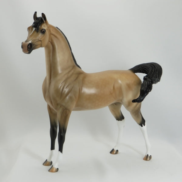 END OF DAY - OOAK Dapple Buckskin Mare Arabian Horse - 5/15
