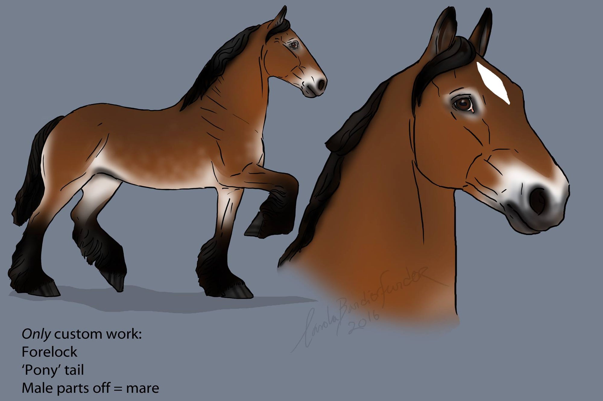 LADY OVER DRAFTER-LE-? PRE-ORDER BAY TROTTING DRAFTER MODEL HORSE 11/17/16