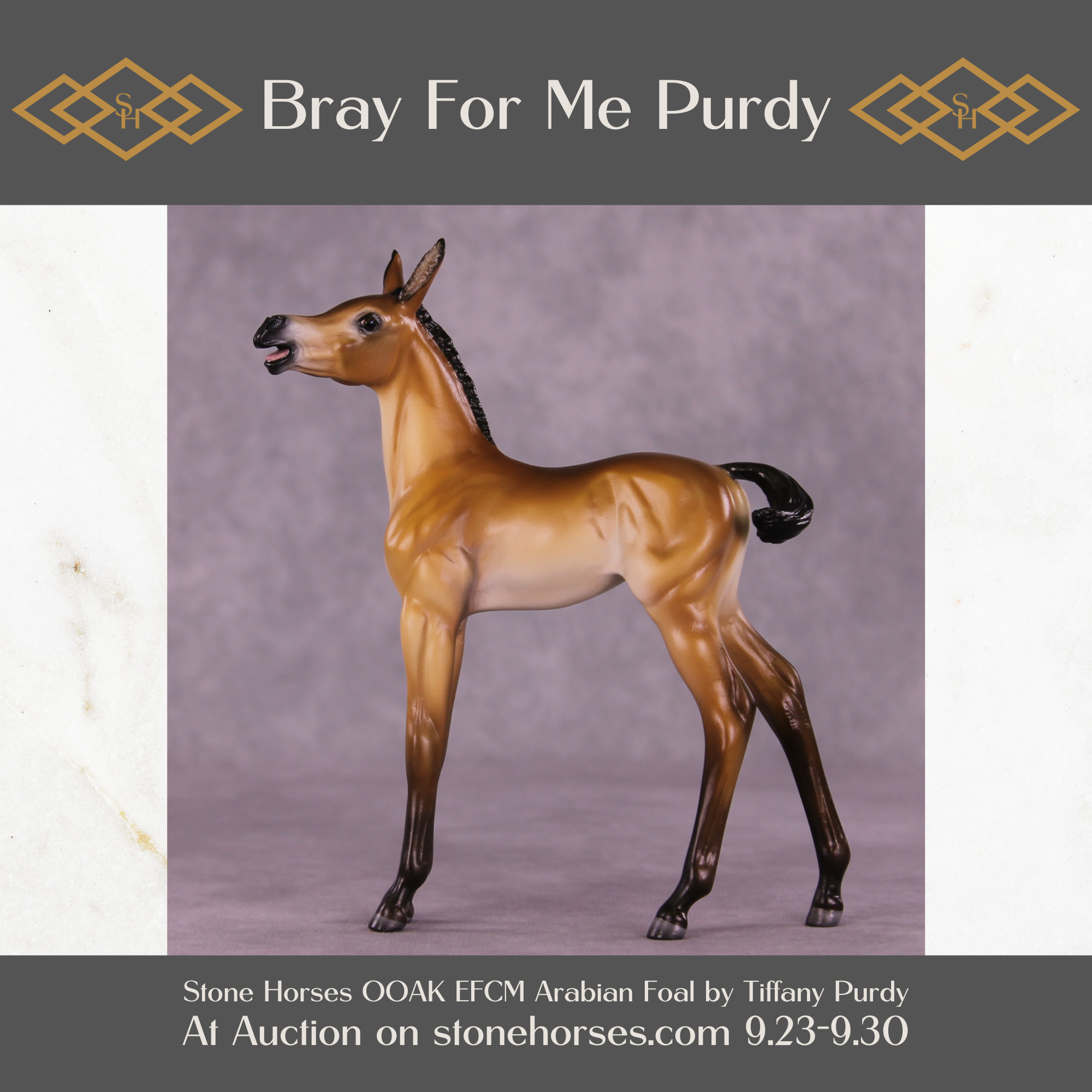 Bray For Me Purdy OOAK EFCM Arabian Foal by Tiffany Purdy SS925