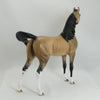 END OF DAY - OOAK Dapple Buckskin Mare Arabian Horse - 5/15