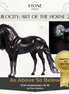 Art of the Horse "As Above So Below" LE-10 FCM Andalusian By Ellen Robbins EQ25