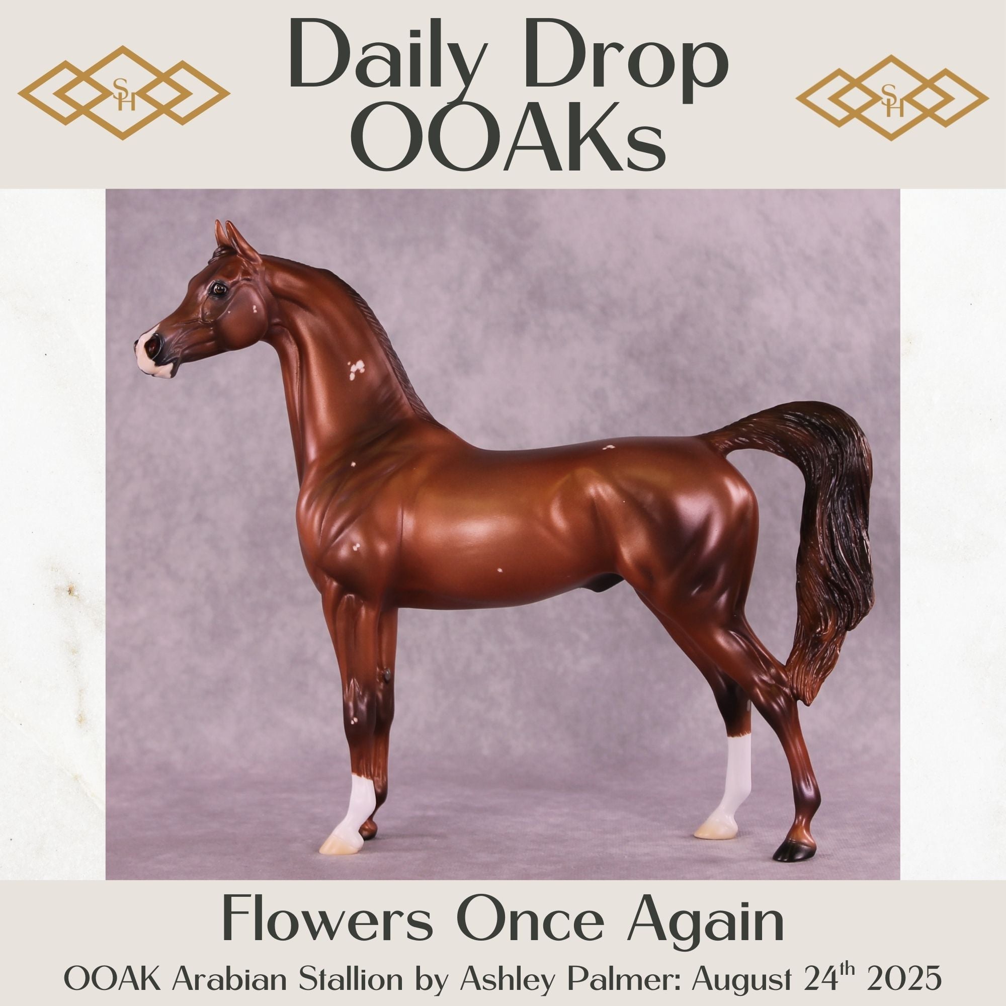 Flowers Once Again OOAK Arabian Stallion by Ashley Palmer DDOOAKs25