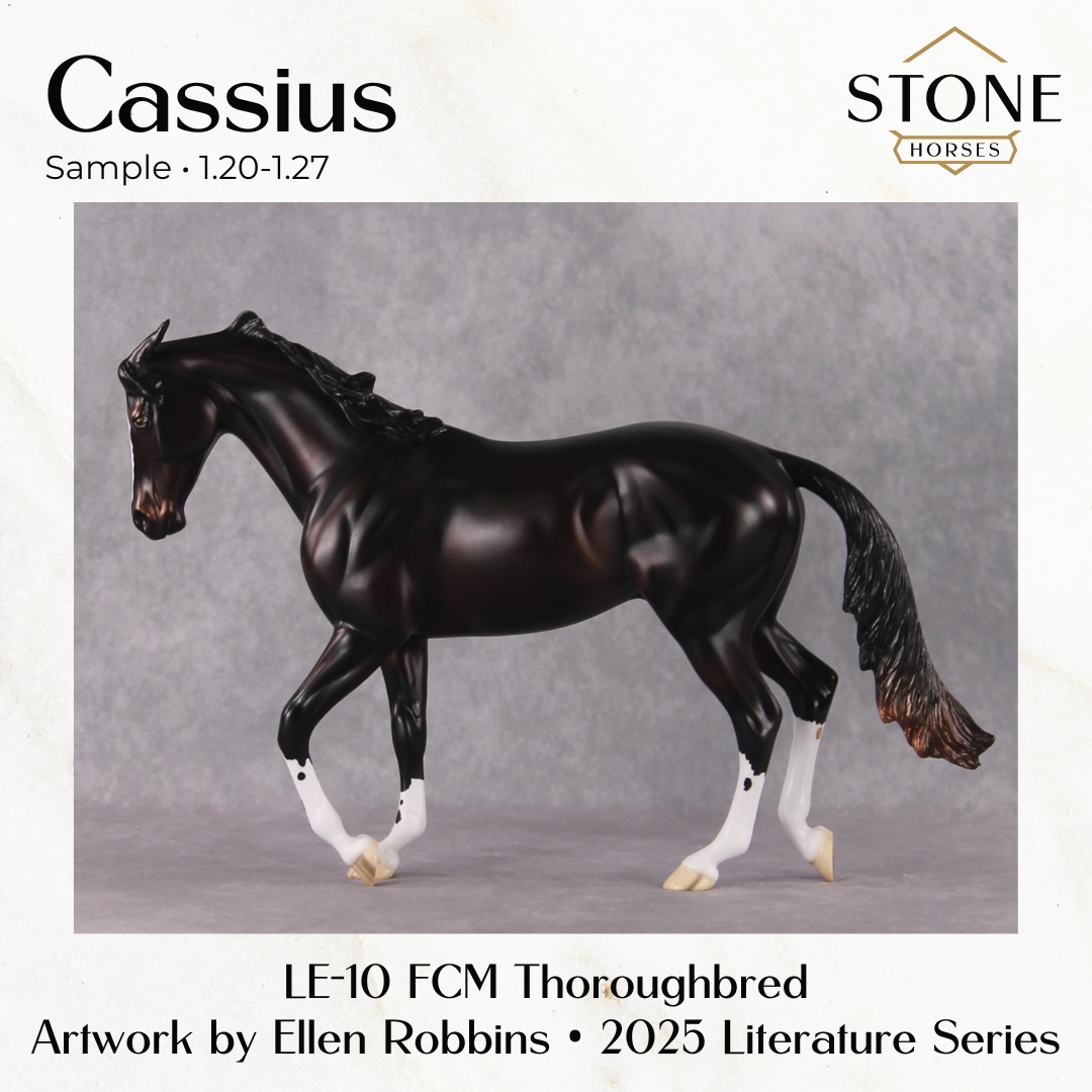 SAMPLE Cassius LE-15 Thoroughbred by Ellen Robbins SS0126