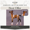 &quot;Beanie Baby&quot; OOAK FCM Foal Chip by Leah Koerper Best Offer EQ25 07/15/25