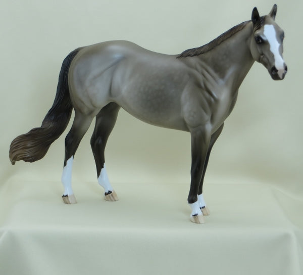MAYBE I'M DREAMING - OOAK Turned Head Champagne Stock Horse Mare 3/15