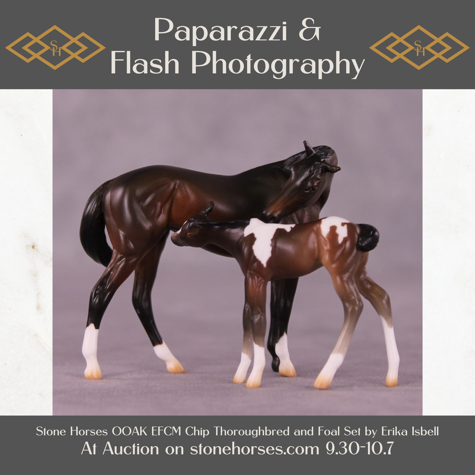 Paparazzi & Flash Photography Set OOAK EFCM Chip Set by Erika Isbell Best Offer 10/7/25