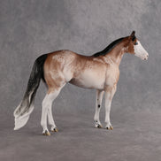 Harvest Moon OOAK Ideal Stock Horse by Ellen Robbins DDOOAKs26