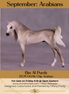Bin Al Purdy OOAK EFCM Chip Arabian by Tiffany Purdy GS925