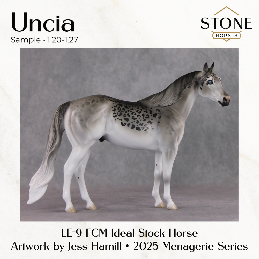 SAMPLE Uncia LE-9 Ideal Stock Horse by Jess Hamill SS0126