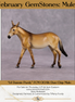 "Lil Dunnin" OOAK Custom Dun Mule Chip By Tiffany Purdy - GemStone Series