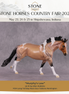"Murphy's Law" LE-10 FCM Remington By Ellen Robbins SHCF25 Run