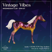Justin OOAK FCM Chip Arabian by Angela Marleau VTV26