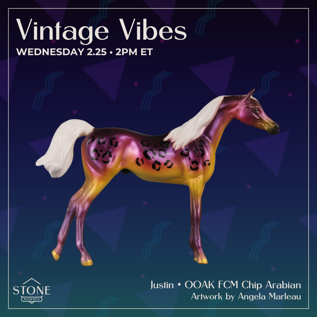 Justin OOAK FCM Chip Arabian by Angela Marleau VTV26