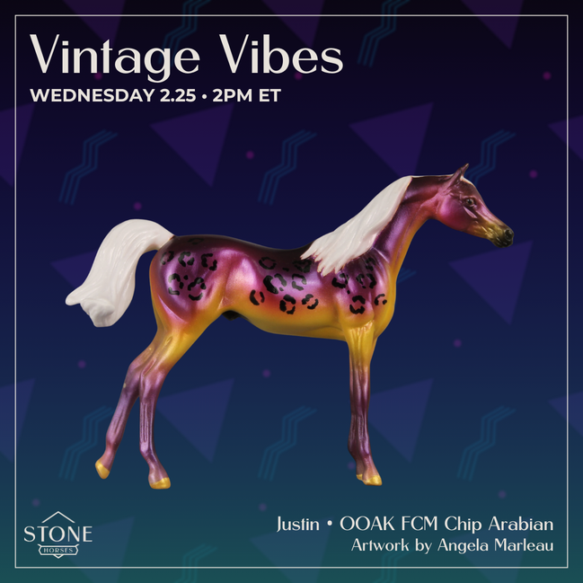 Justin OOAK FCM Chip Arabian by Angela Marleau VTV26