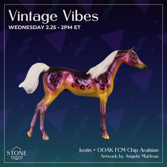 Justin OOAK FCM Chip Arabian by Angela Marleau VTV26