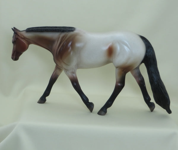 RAINBOW VEINS - OOAK Bay Roan Performance Horse 3/15
