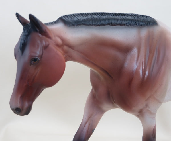 RAINBOW VEINS - OOAK Bay Roan Performance Horse 3/15