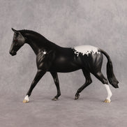 Creepy Crawly OOAK Pony by Madi Wiseman DDOOAKs26