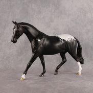 Creepy Crawly OOAK Pony by Madi Wiseman DDOOAKs26