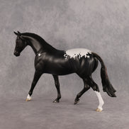 Creepy Crawly OOAK Pony by Madi Wiseman DDOOAKs26
