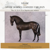 &quot;Mistral&quot; NO FINISH CHANGE FCM Andalusian By Ashley Palmer POS INVENTORY