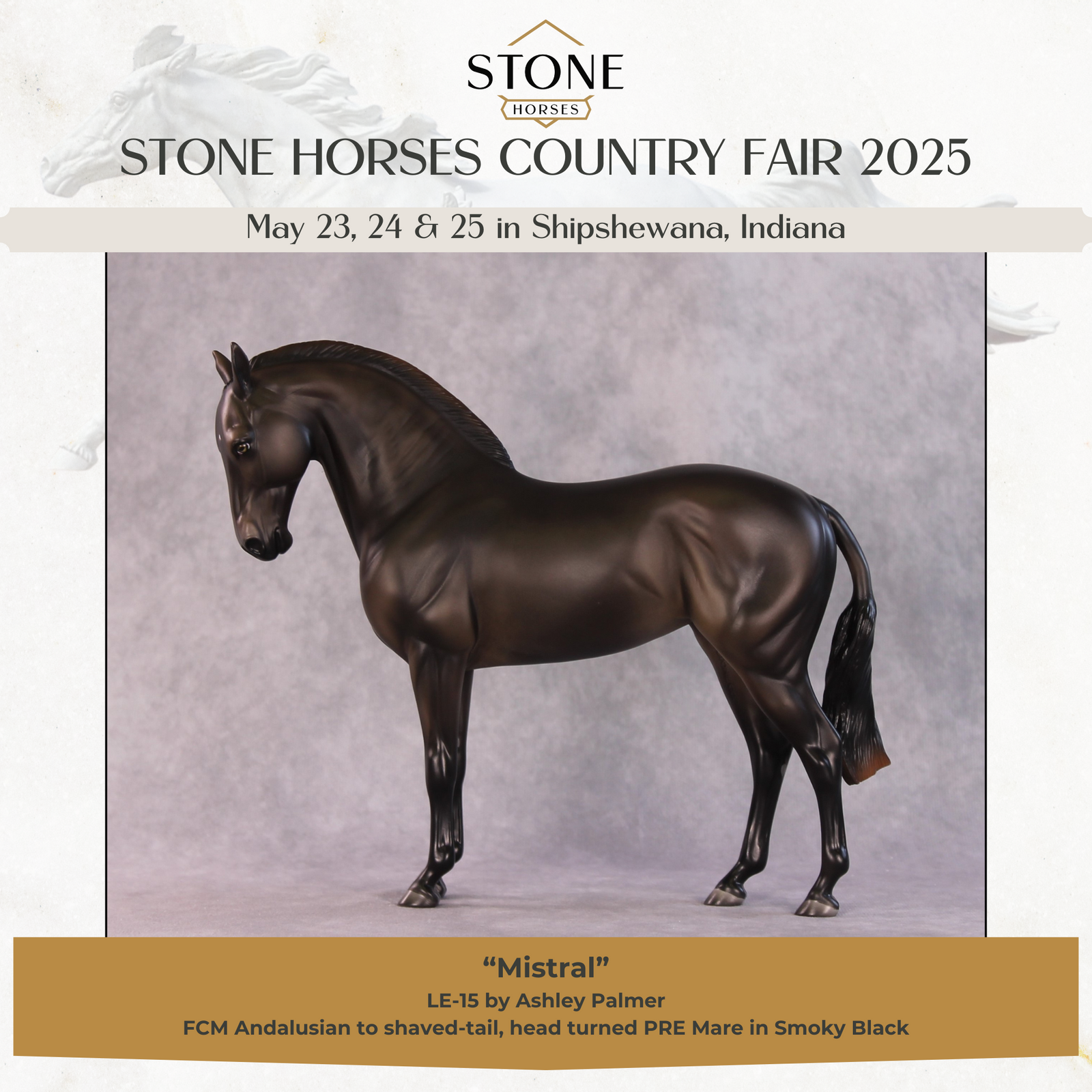 "Mistral" LE-15 FCM Andalusian By Ashley Palmer SHCF25OS Run