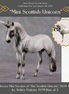 "Mini The Scottish Unicorn" LE-3 Dappled Silver & Pearl Unicorn Deco Andalusian Chip By Ashley Palmer-Secret Surprise Chip Drop