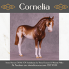 Cornelia OOAK FCM Andalusian by Sheryl Leisure Best Offer 10/14/25