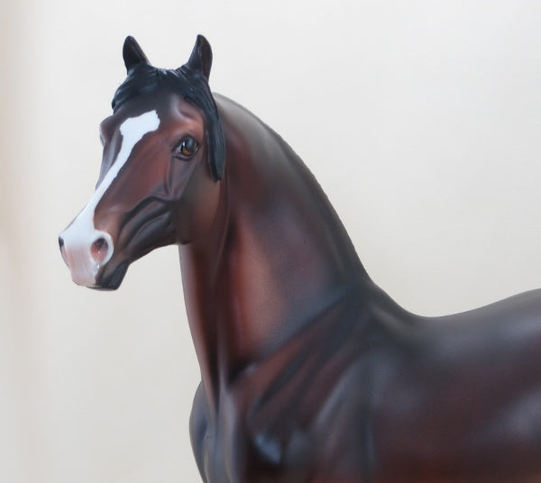 DEAR VIENNA - LE4 Dapple Seal Bay Morgan Model Horse - 3/15