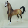 ELEANOR ROOSEVELT - OOAK Bay Arabian 2/15