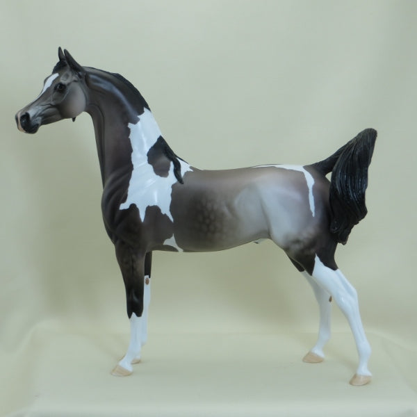 LYNDON JOHNSON - OOAK Dapple Rose Gray Pinto Arabian 2/15