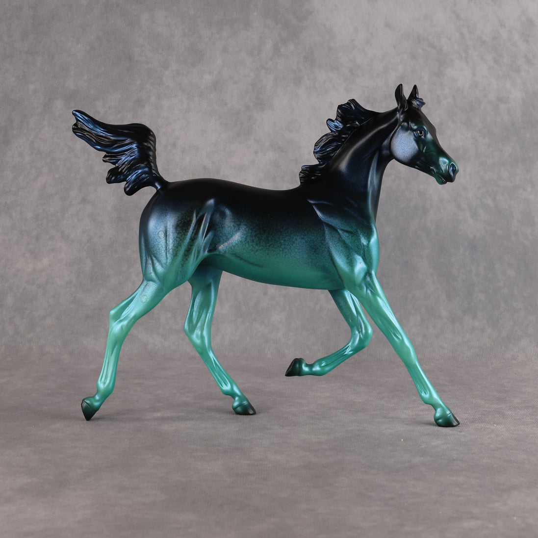 Strange Brew OOAK Arabian Yearling by Ashley Palmer DDOOAKs26