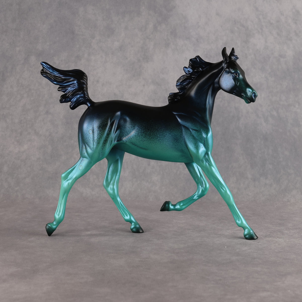 Strange Brew OOAK Arabian Yearling by Ashley Palmer DDOOAKs26