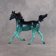 Strange Brew OOAK Arabian Yearling by Ashley Palmer DDOOAKs26