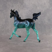 Strange Brew OOAK Arabian Yearling by Ashley Palmer DDOOAKs26